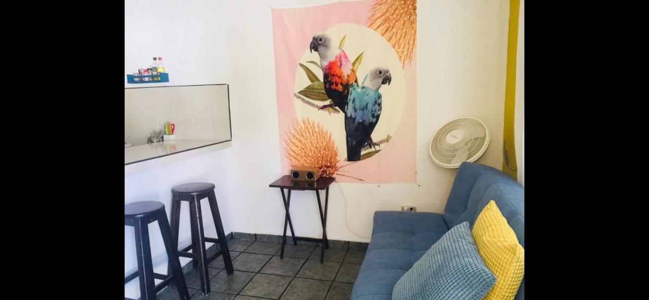 Casa De Hojas Apartment Playa del Carmen Luaran gambar